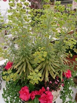 eb02d7c7.jpg