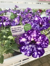 E5F2FEF4-FF66-4EAE-876F-59E6CA051925