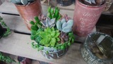 IMG_20180703_155807