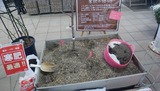 IMG_20180123_190722