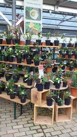 売り場