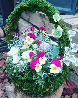 IMG_20171210_083138_094