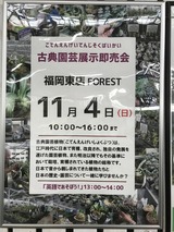 539889F2-28FD-41F8-B538-02524294F579