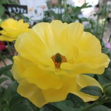 IMG_20180125_150549_892