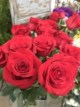 765F5D77-5D60-4095-A3CD-7AE8AB9381DA