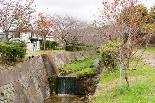 オーベルジュコート星田7Ⅳ-36
