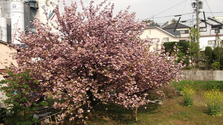 DSCF1284