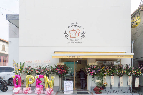 パンデシャンボール-1711257