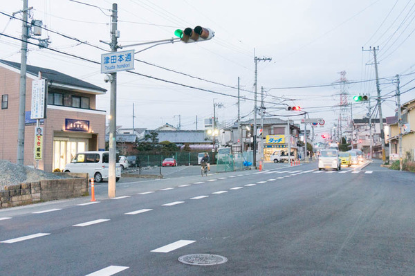 ティアラ-17012741