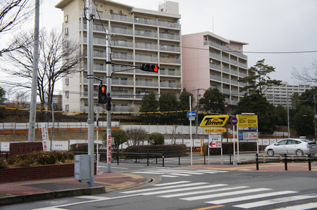 120225DSC05291