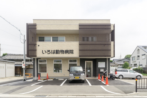 いろは動物病院-15061203