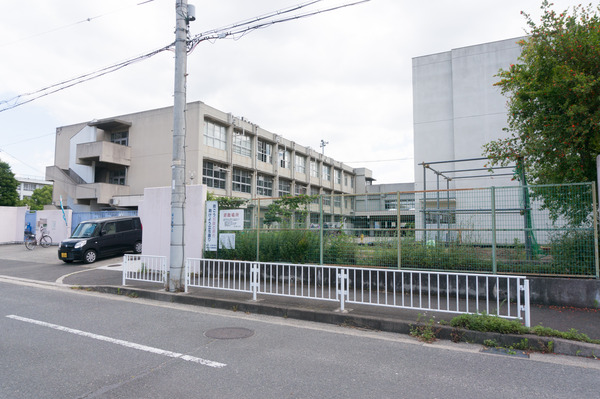 伊加賀小