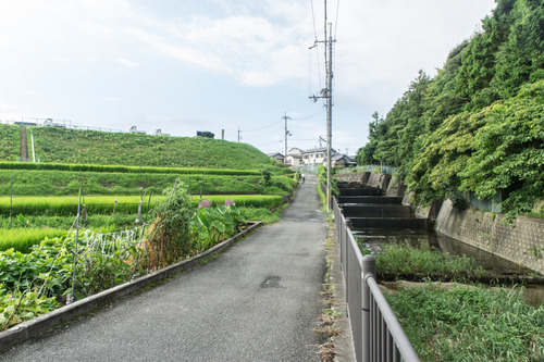 責谷川-1408199