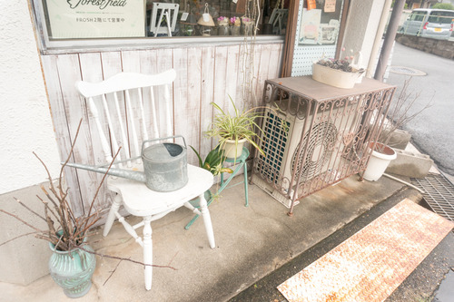 フロッシュ-1508177