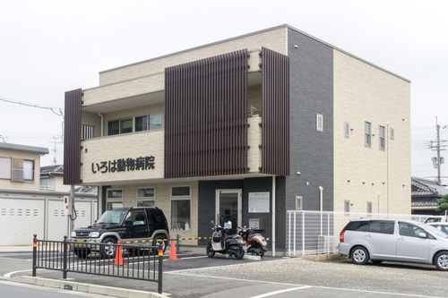 いろは動物病院-15061202