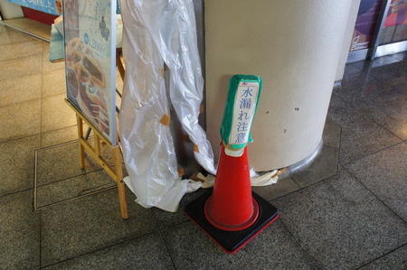 to-rib20120819145206
