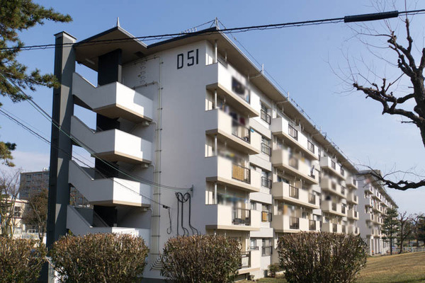 D51-1801293