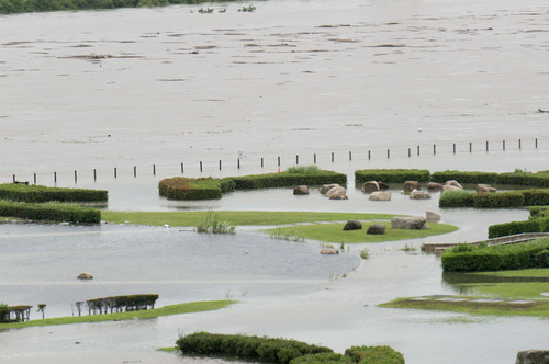 台風11号・淀川-12