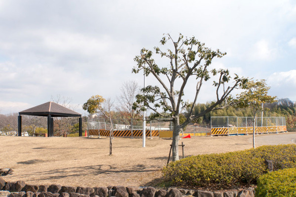 20180205くにみの丘公園-5
