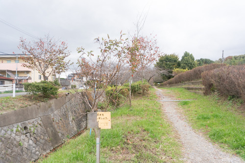 オーベルジュコート星田7丁目Ⅸ期-37