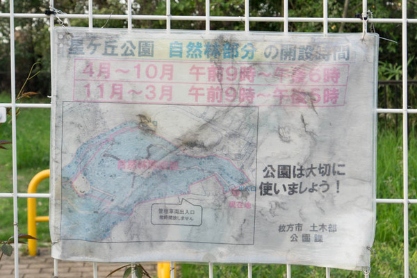 星丘公園-1810011