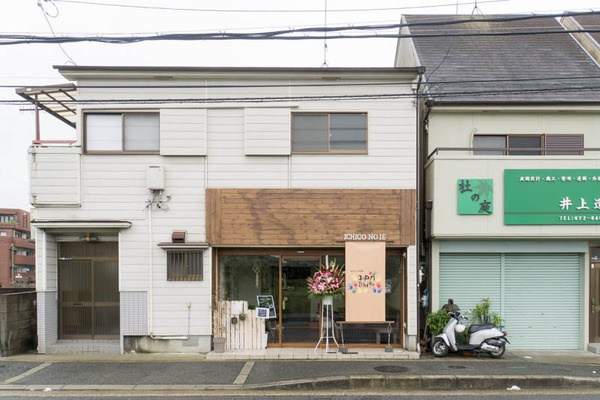 ジャパンイチゴ-1605104