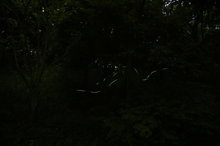 resize20120618195250a