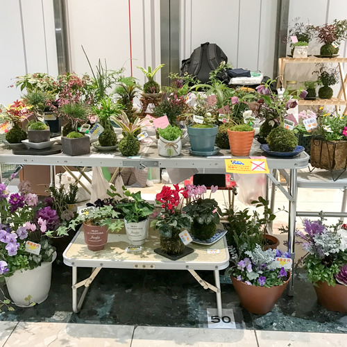 かわいいグリーンのお店