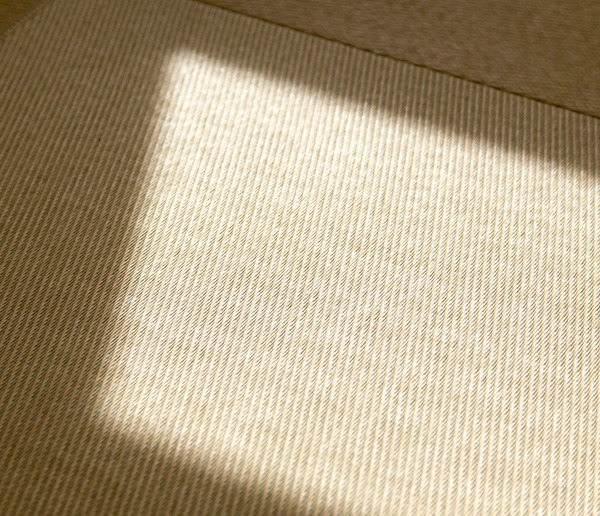 飛鳥ハウジング-50