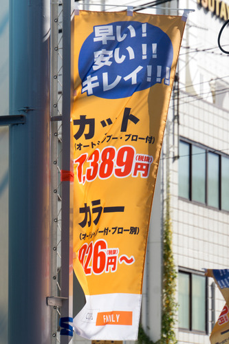 カラーズファミリー-15120701