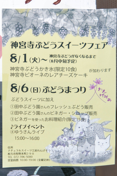 れんげそう-1708024