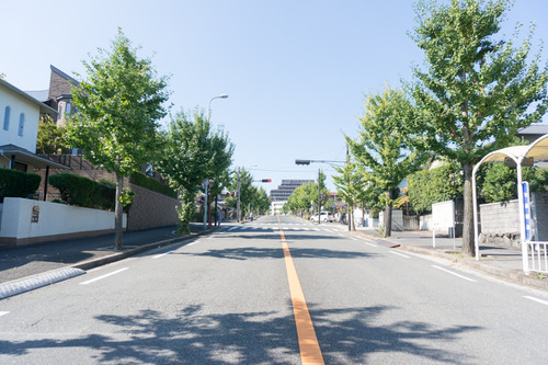 バス停屋根