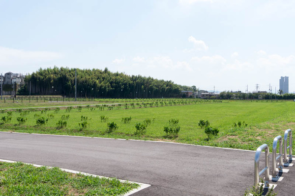 楠葉台場跡-1609015
