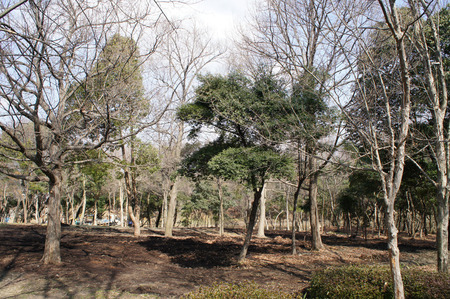 120303DSC05904