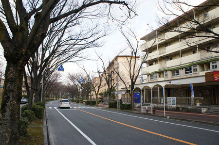 産直130102-17