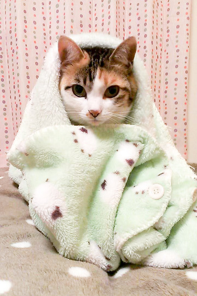 FB_IMG_1486952915650