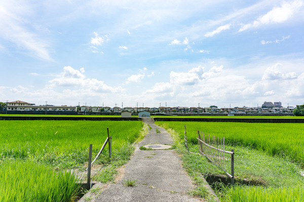 ただの枚方-10