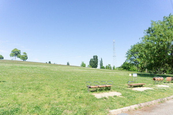山田池公園ナーガ-10