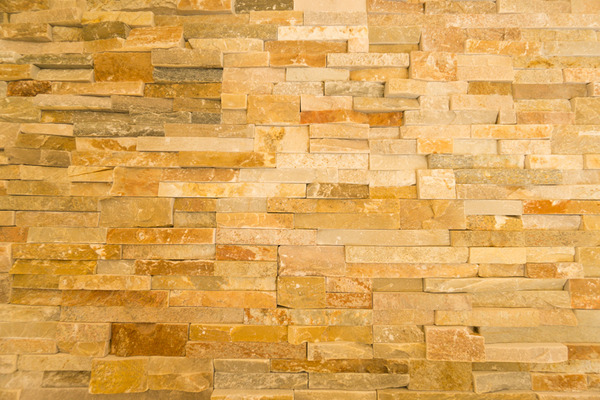 高橋開発牧野-105