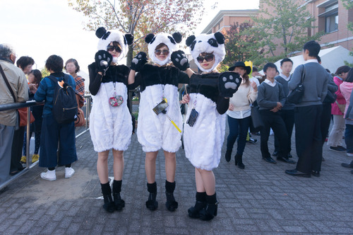 外大祭-15103110