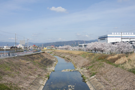 招提田近-1