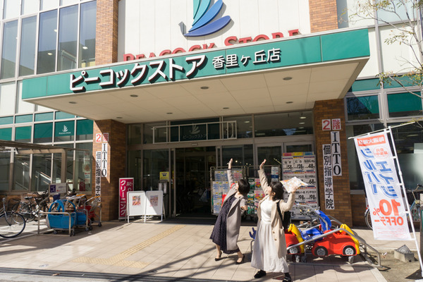 ▶FLAG-2