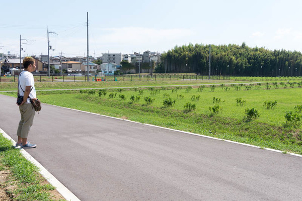 楠葉台場跡-1609017