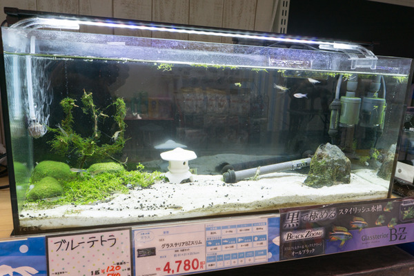 ニトリモール枚方 × 新生活-16