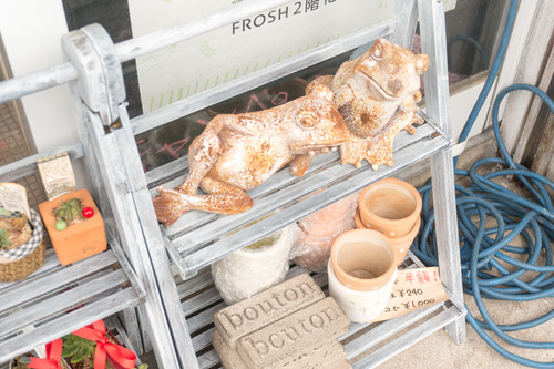 フロッシュ-15081711