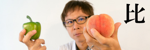 夏の自由研究-7