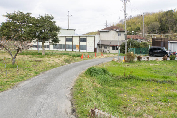 長尾杉線-1903144
