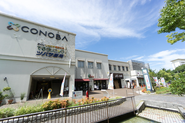 UR香里ケ丘団地周辺環境-8