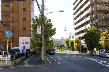 120928miniminiくずは03