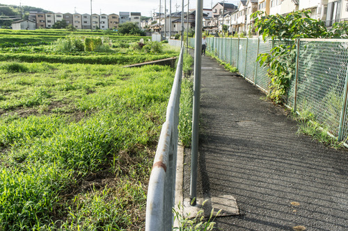 責谷川-14081932